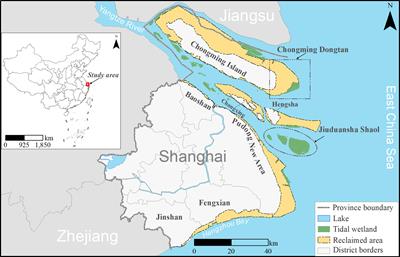 Identifying priority areas for tidal wetland restoration by integrating ecosystem services supply and demand mismatches